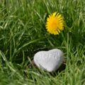 heart-shaped black stone on green grass