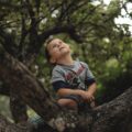 boy climb on tree